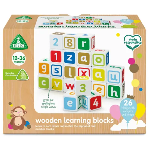 Early Learning Centre Wooden Learning Blocks