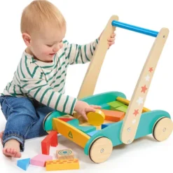 Early Learning Centre Wooden Toddle Truck and Bricks