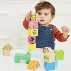 Early Learning Centre Wooden Activity Blocks
