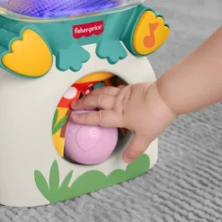 Fisher-Price Light-Up And Roll Frog Musical Ball Drop Activity Toy