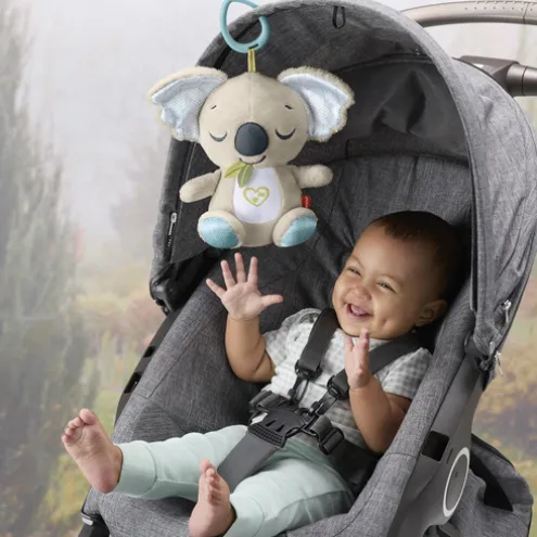 Fisher Price On The Go Koala Soft Toy