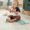 Fisher-Price So Many Senses Gift Set