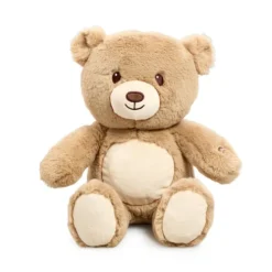 Light Up Bear Soft Toy