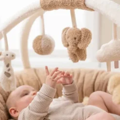 Nattou Teddy Stuffed Playmat with Arches