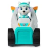 Paw Patrol Everest's Snow Plow Vehicle and Figure