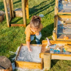 Plum Discovery Forest Wooden Water Run