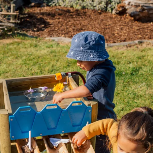 Plum Discovery Forest Wooden Water Run