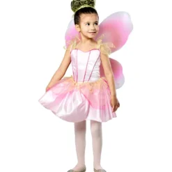 Rubies 3-4 Years Spring Time Fairy Dress Up Costume