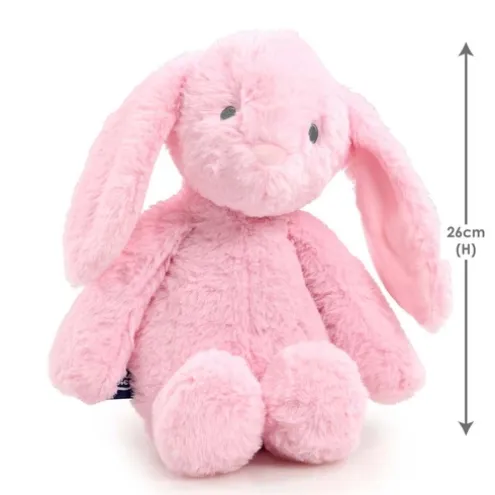 Snuggle Buddies Bobbins Bunny Soft Toy