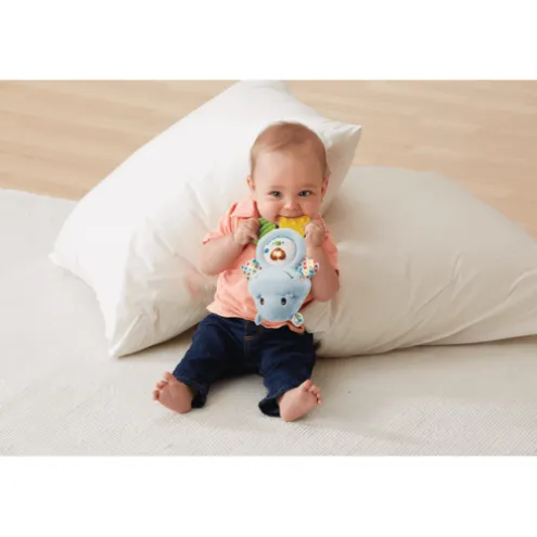 VTech Baby Little Friendlies Happy Hippo Teether