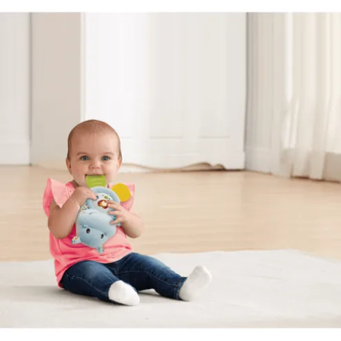 VTech Baby Little Friendlies Happy Hippo Teether
